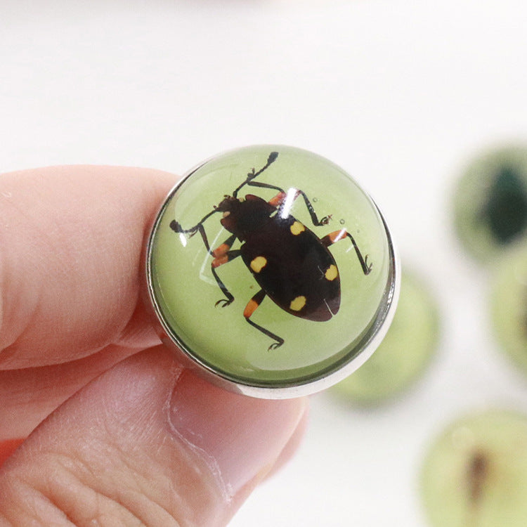 Wholesale 12pcs Luminous Fashion Real Insect Scorpion Resin Rings