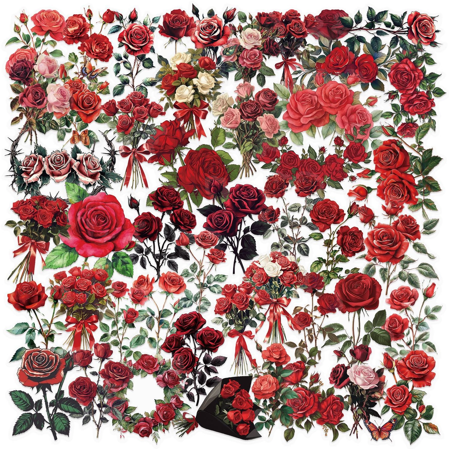 OlyVogue