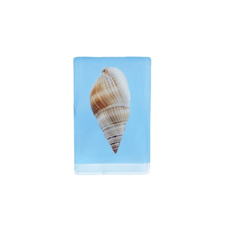 Wholesale 10pcs Resin Crafts Natural Conch Specimen Ornaments