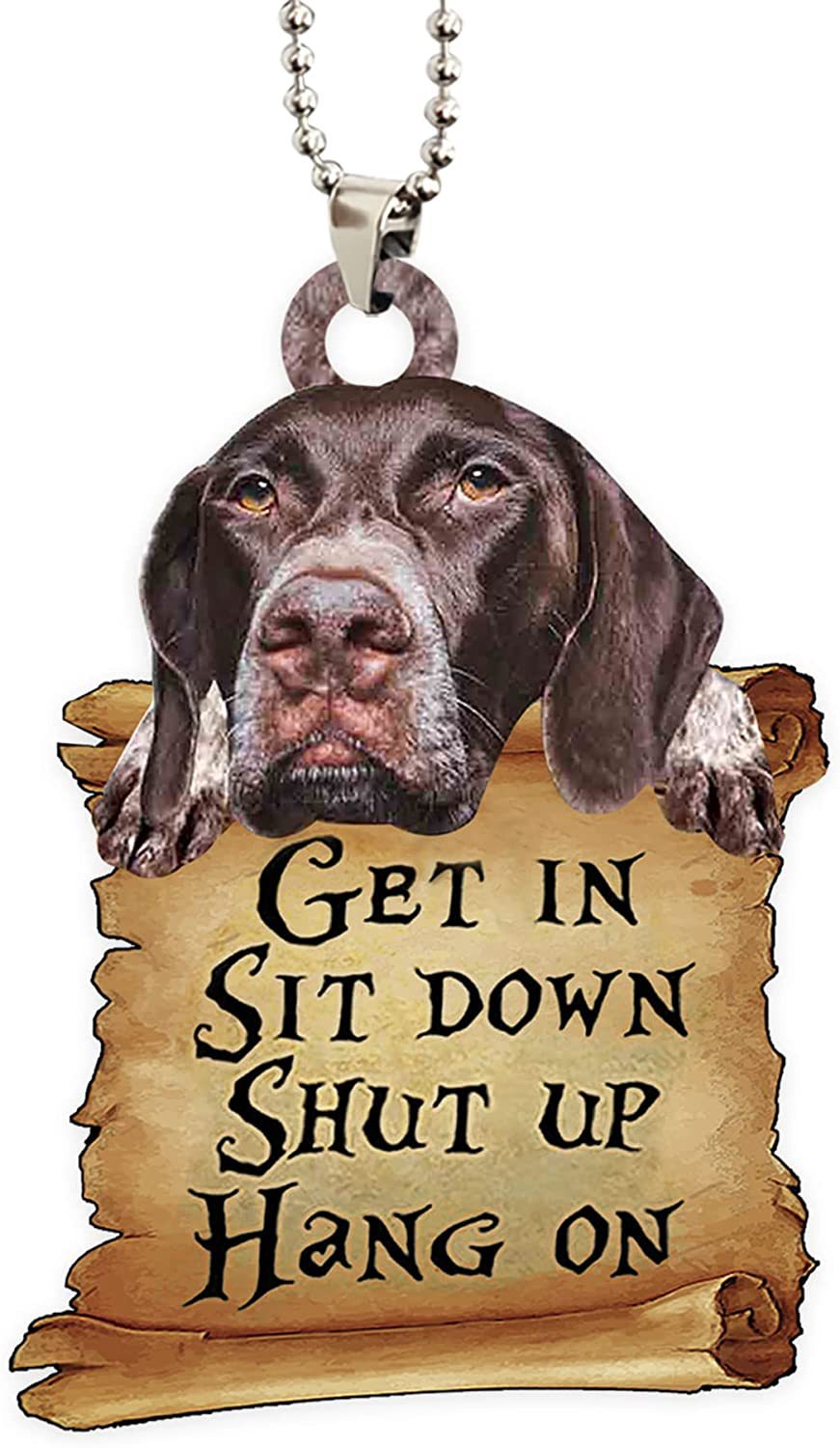 Wholesale Acrylic Animal Series Car Decorations