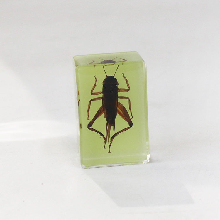 Wholesale 12pcs Luminous Real Insect Scorpion Desktop Resin Ornaments