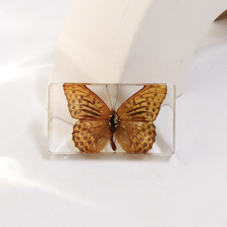 Wholesale 6pcs Real Butterfly with Wings Spread 3D Crafts Ornaments