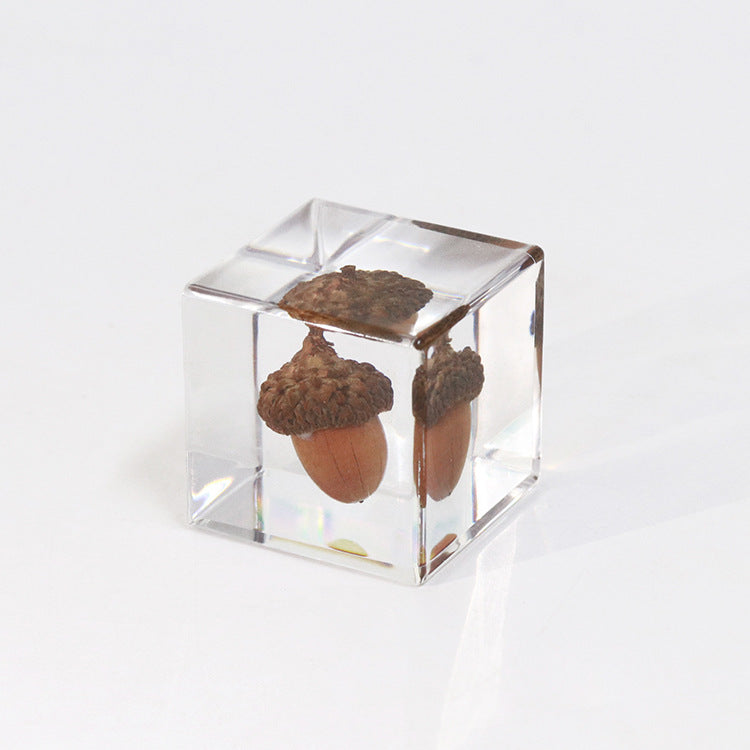 Wholesale 6pcs Acorn Paperweight Desktop Crafts Ornaments