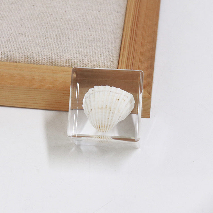 Wholesale 6pcs Ocean Cube Resin Crafts Ornaments