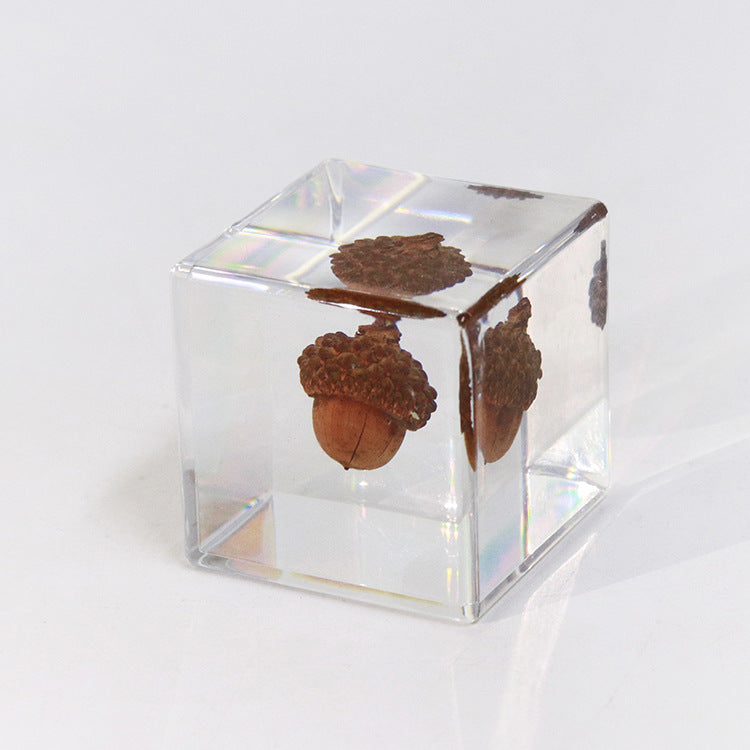 Wholesale 6pcs Acorn Paperweight Desktop Crafts Ornaments