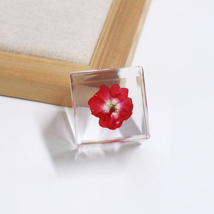Wholesale 6pcs Cube Real Dried Flower Desktop Crafts Ornaments
