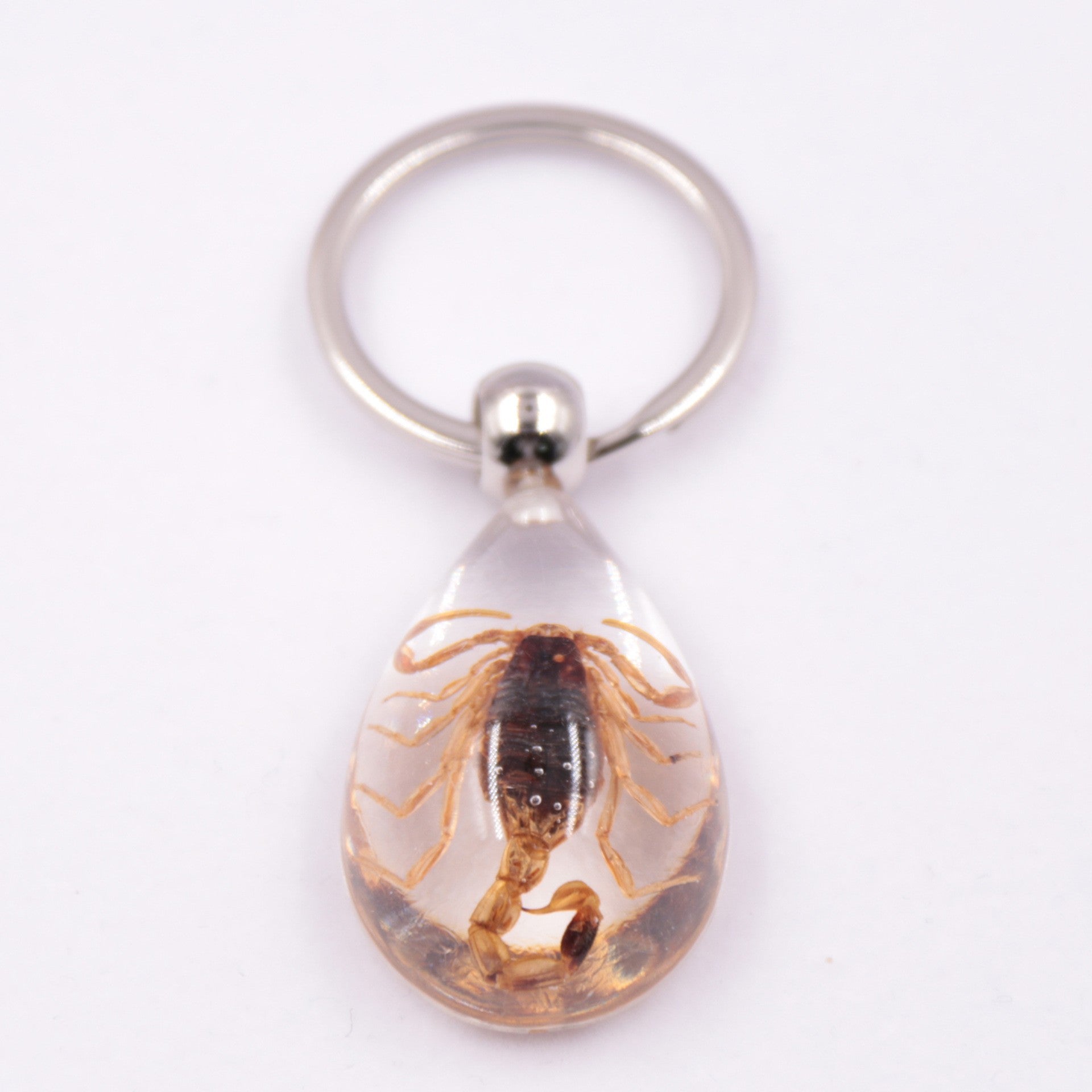 Wholesale 6pcs Resin Insect Specimen Transparent Glue Keychain