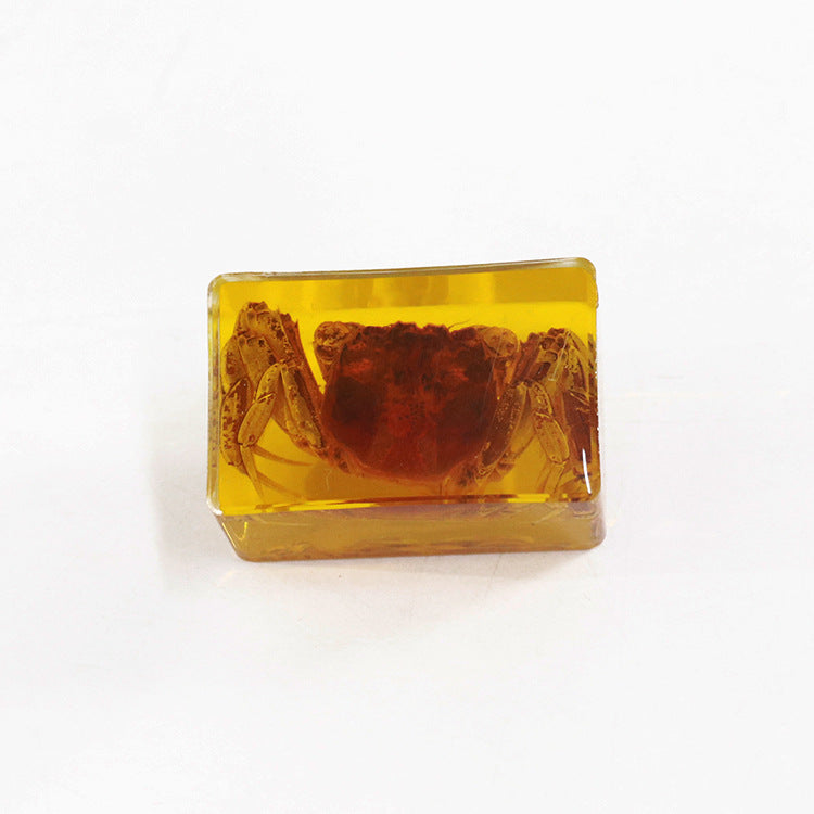 Wholesale 12pcs Real Insect Scorpion Resin HD Transparent Craft Ornaments