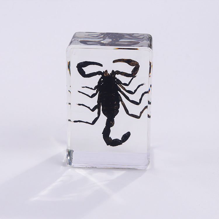 Wholesale 6pcs Handmade Glue Resin Insect Transparent Specimen Ornaments