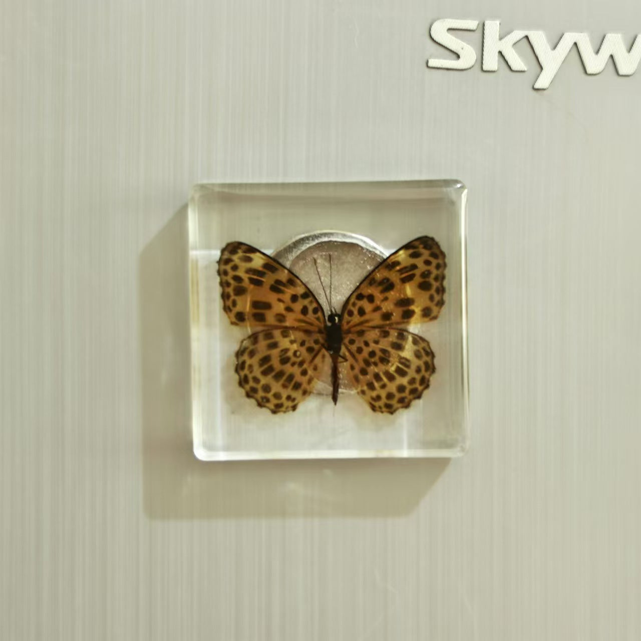 Wholesale Insect Fridge Magnet Cute 3D Magnetic Fridge Magnet