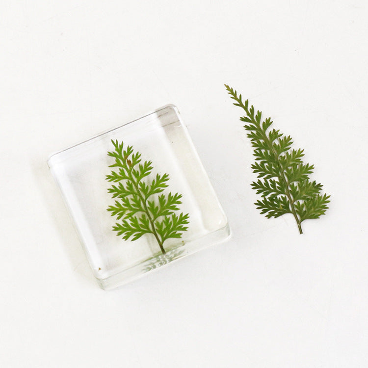 Wholesale 6pcs Fern Leaf Metasequoia Green Plant Specimen Ornaments