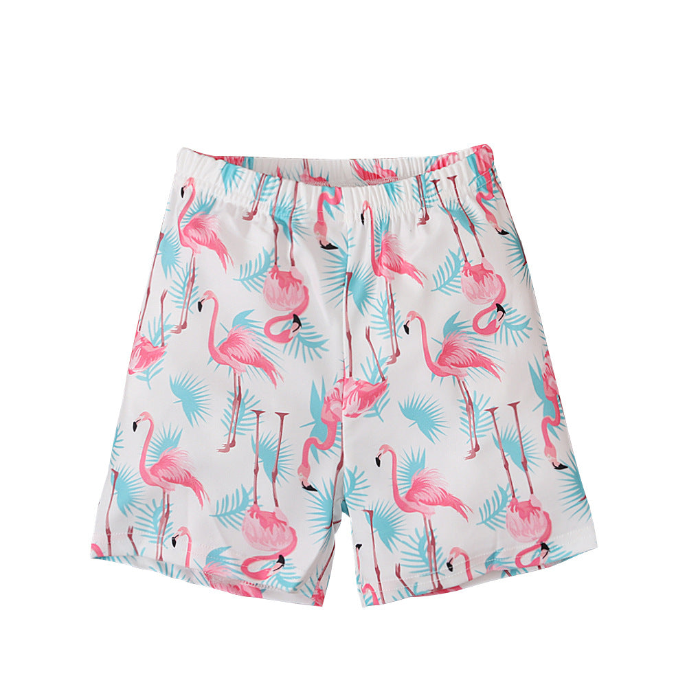 Wholesale Boys' Summer Crane Printed Boxer Briefs and Quarter Pants