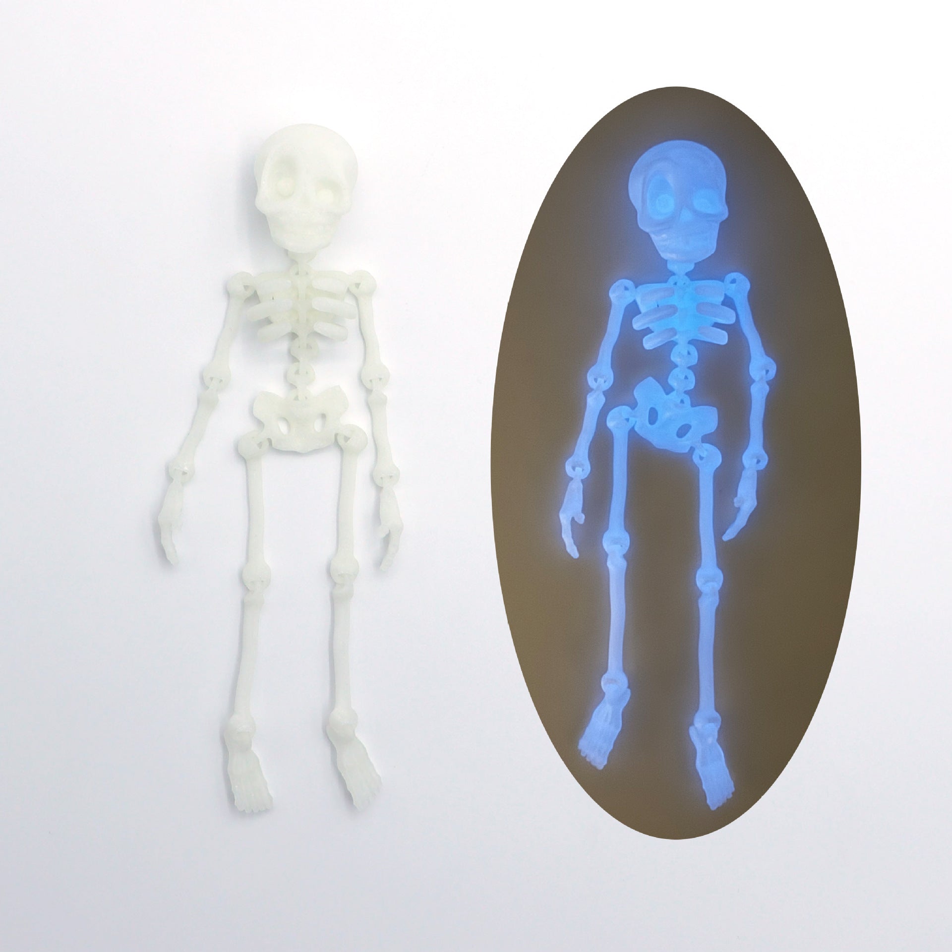 Wholesale 3D printed skeleton human joint movable children' s  toy creative refrigerator magnet