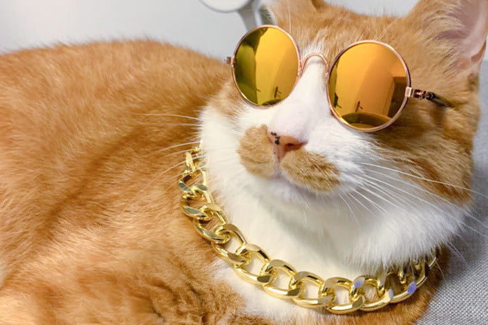 Wholesale Pet glasses,  cat sunglasses,  pet UV protection glasses,  trendy cool accessories,  protective glasses