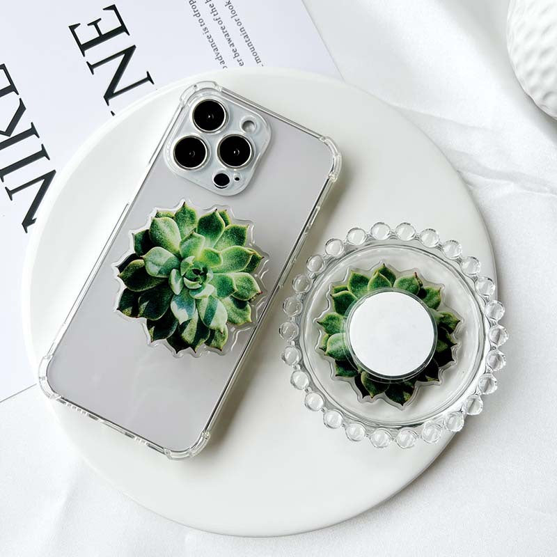 Soporte de teléfono de pegamento de suculentas acrílicas al por mayor
