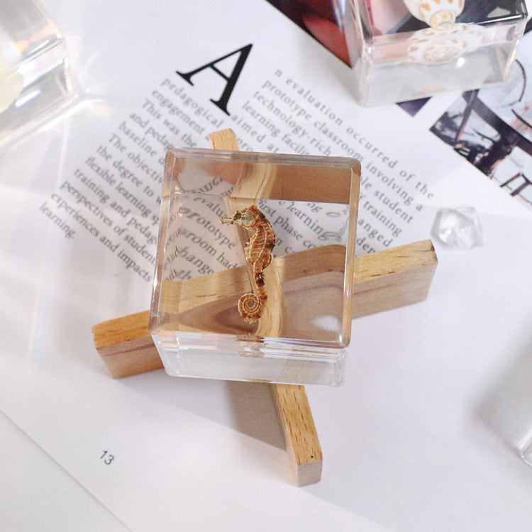 Wholesale 6pcs Ocean Cube Resin Crafts Ornaments