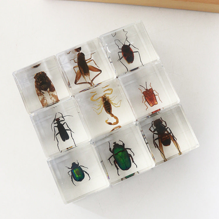 Wholesale 6pcs 4cm Cube Insect Resin HD Transparent Resin Ornaments