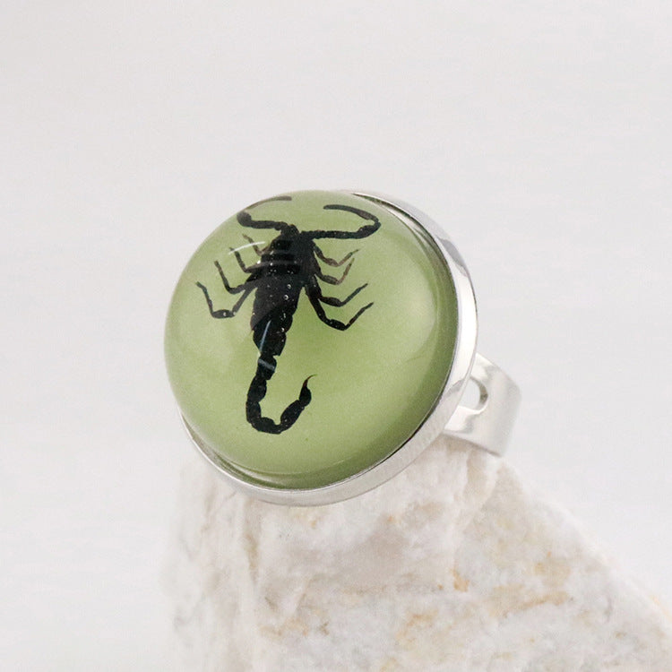 Wholesale 12pcs Luminous Fashion Real Insect Scorpion Resin Rings