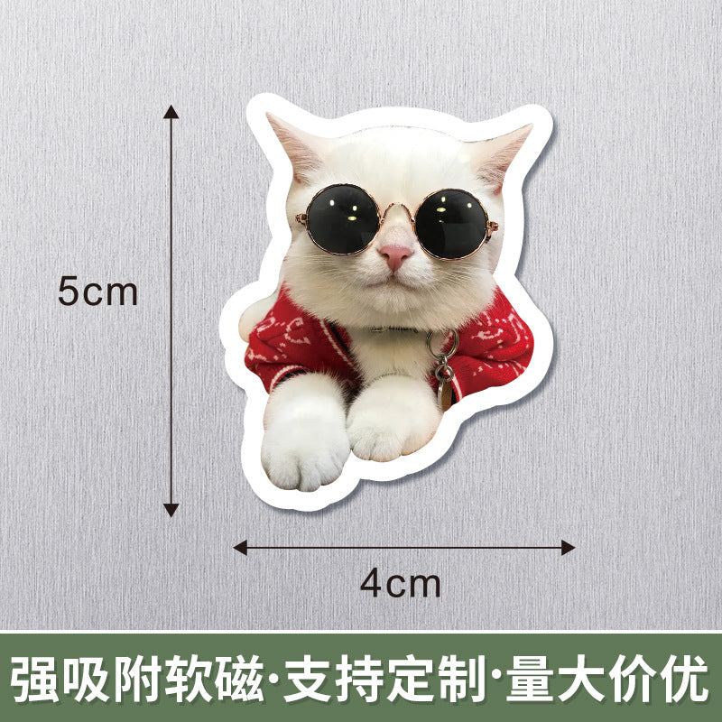 Wholesale 50pcs Magnetic refrigerator magnets cute pet magnetic stickers special-shaped decoration