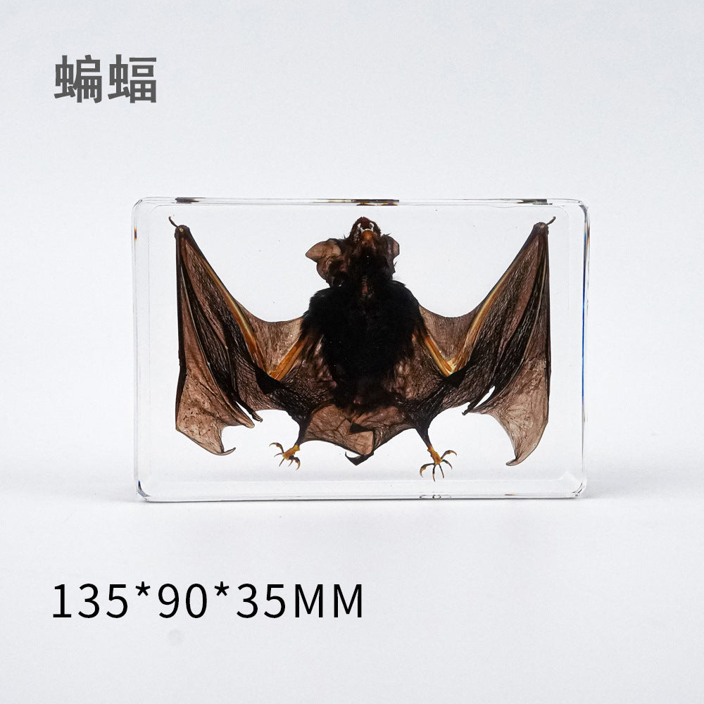 Wholesale Bat Specimen Resin Crafts Ornaments