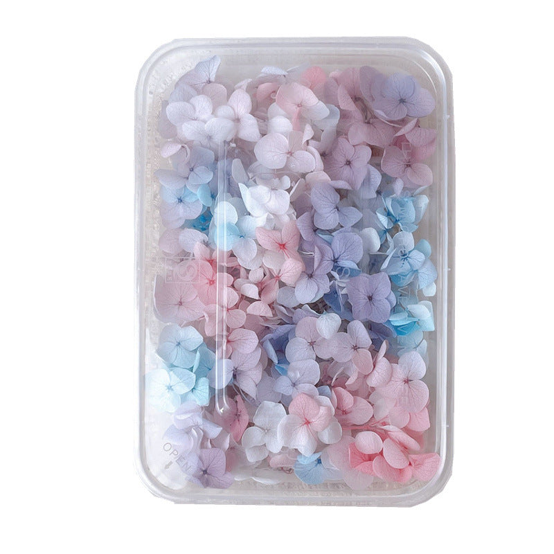 Wholesale Dried Flowers Immortal Flowers Hydrangea Gradient Color Handmade Diy Filling Materials