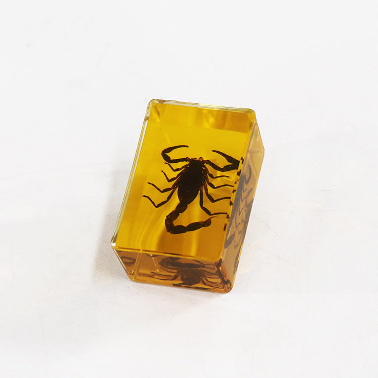 Wholesale 12pcs Real Insect Scorpion Resin HD Transparent Craft Ornaments