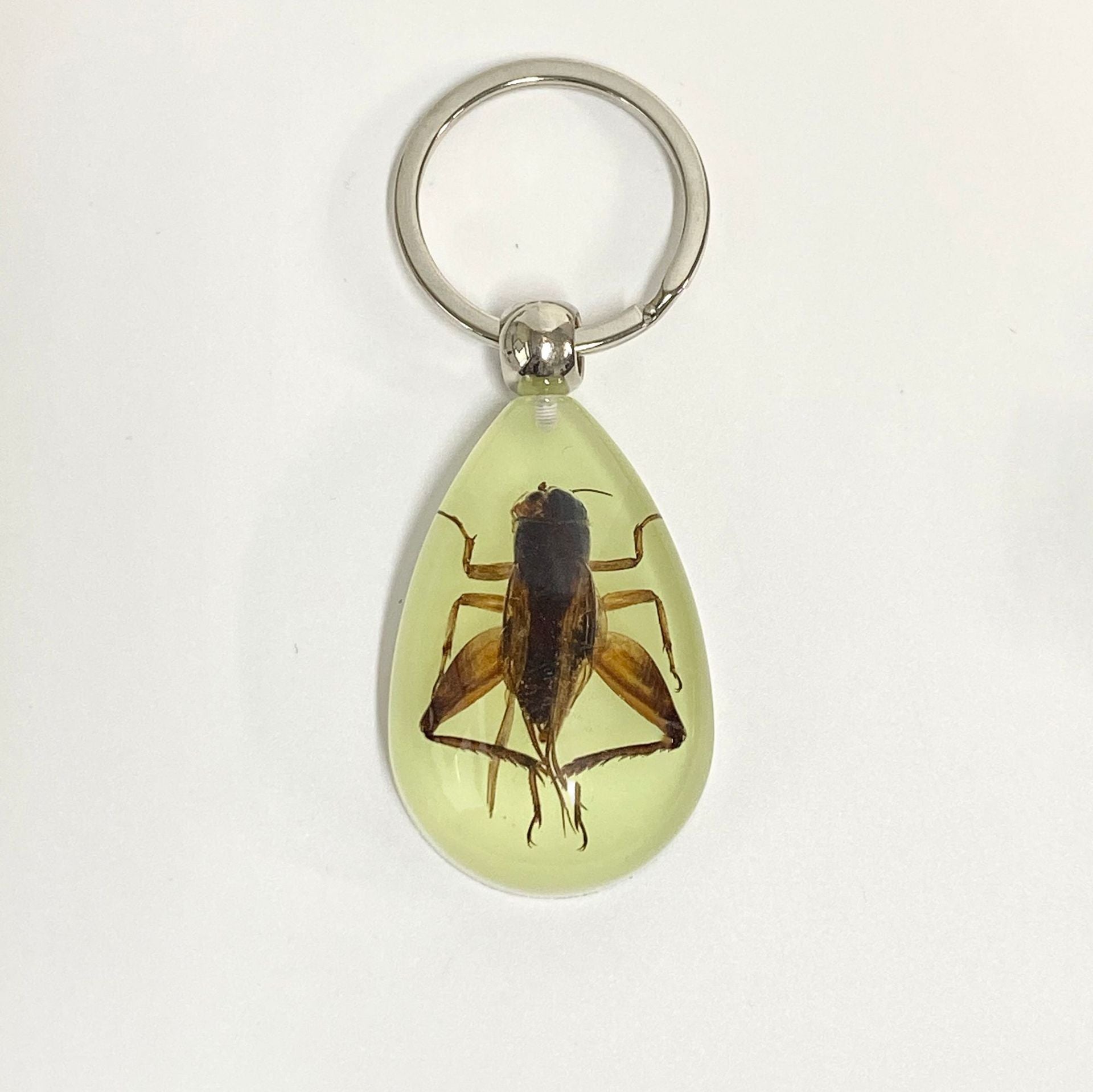 Wholesale 6pcs Luminous Insects Epoxy Resin Keychain