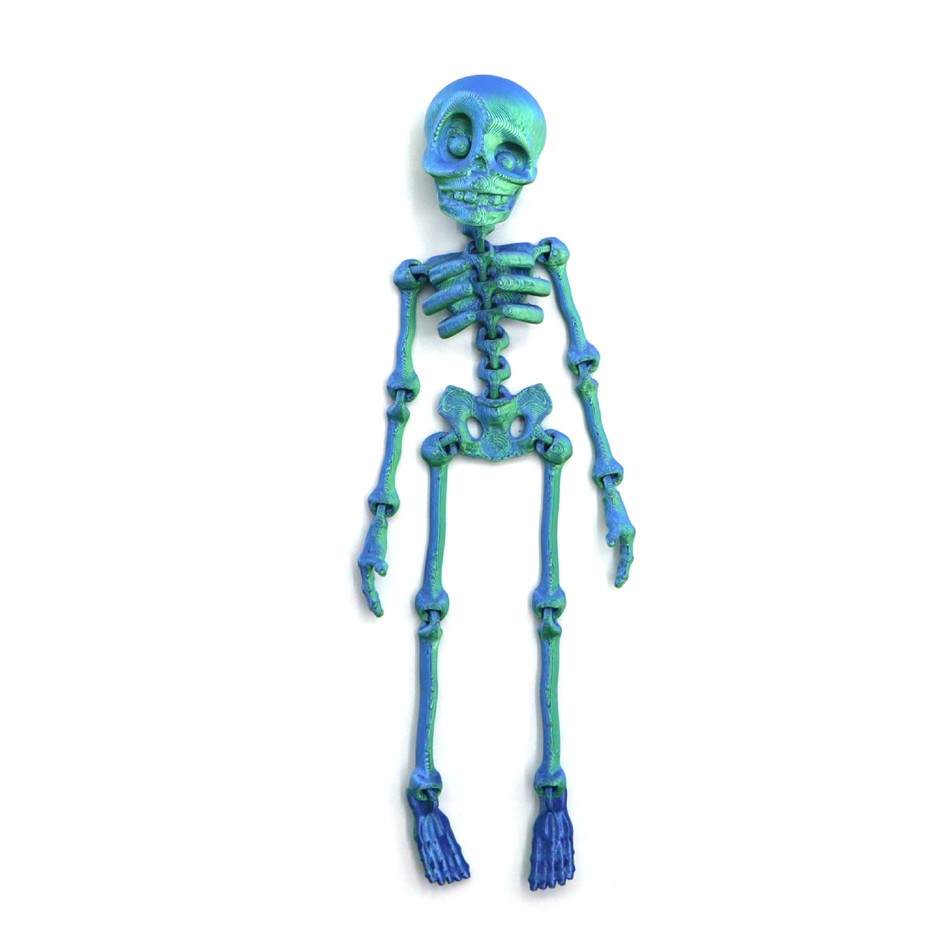 Wholesale 3D printed skeleton human joint movable children' s  toy creative refrigerator magnet