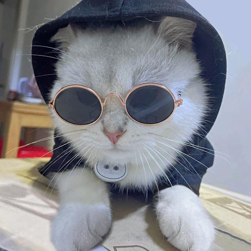 Wholesale Hip Hop Funny Glasses Cat Dog Fashion Accessories Pet Sunglasses
