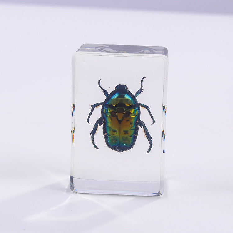 Wholesale 6pcs Handmade Glue Resin Insect Transparent Specimen Ornaments