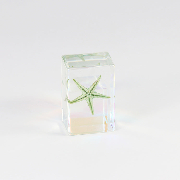 Wholesale 12pcs Epoxy Starfish Specimen Hot Sale Resin Crafts Ornaments