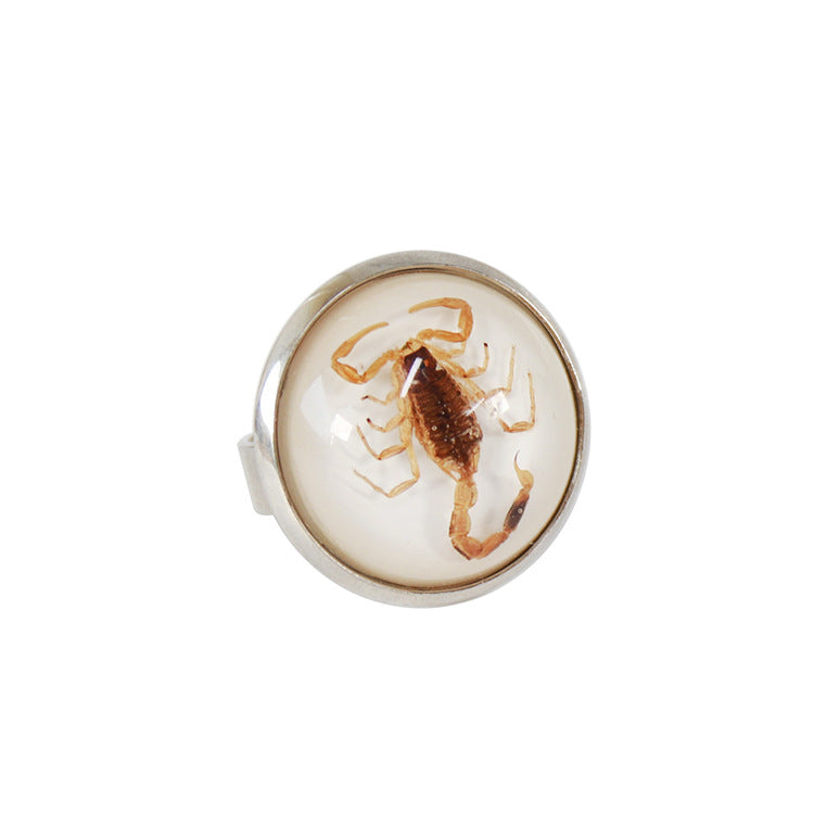 Wholesale12pcs Scorpion Amber Color Round Bottom Ring