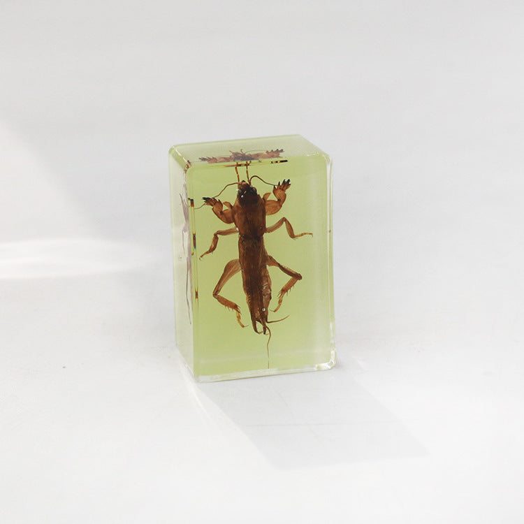 Wholesale 12pcs Luminous Real Insect Scorpion Desktop Resin Ornaments