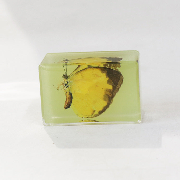 Wholesale 12pcs Luminous Real Insect Scorpion Desktop Resin Ornaments