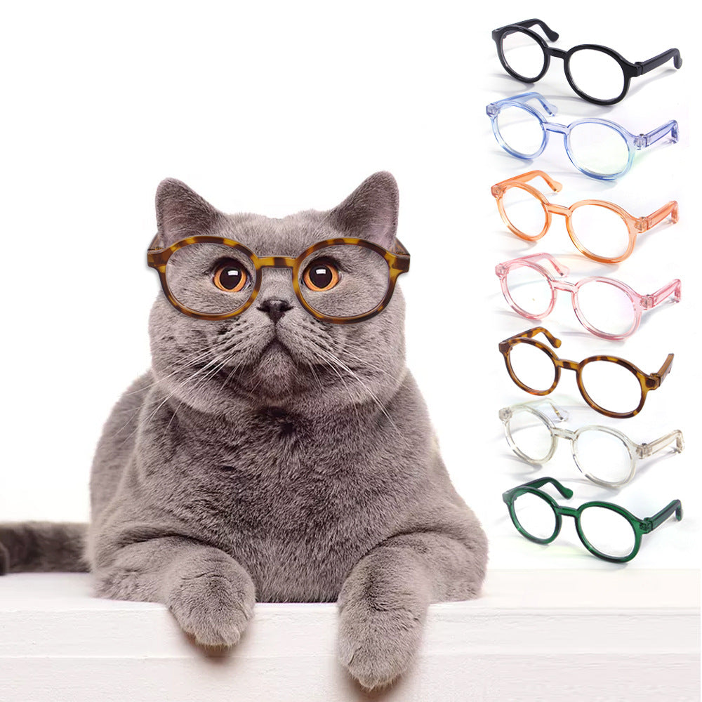 Wholesale Plastic Transparent Cat Glasses