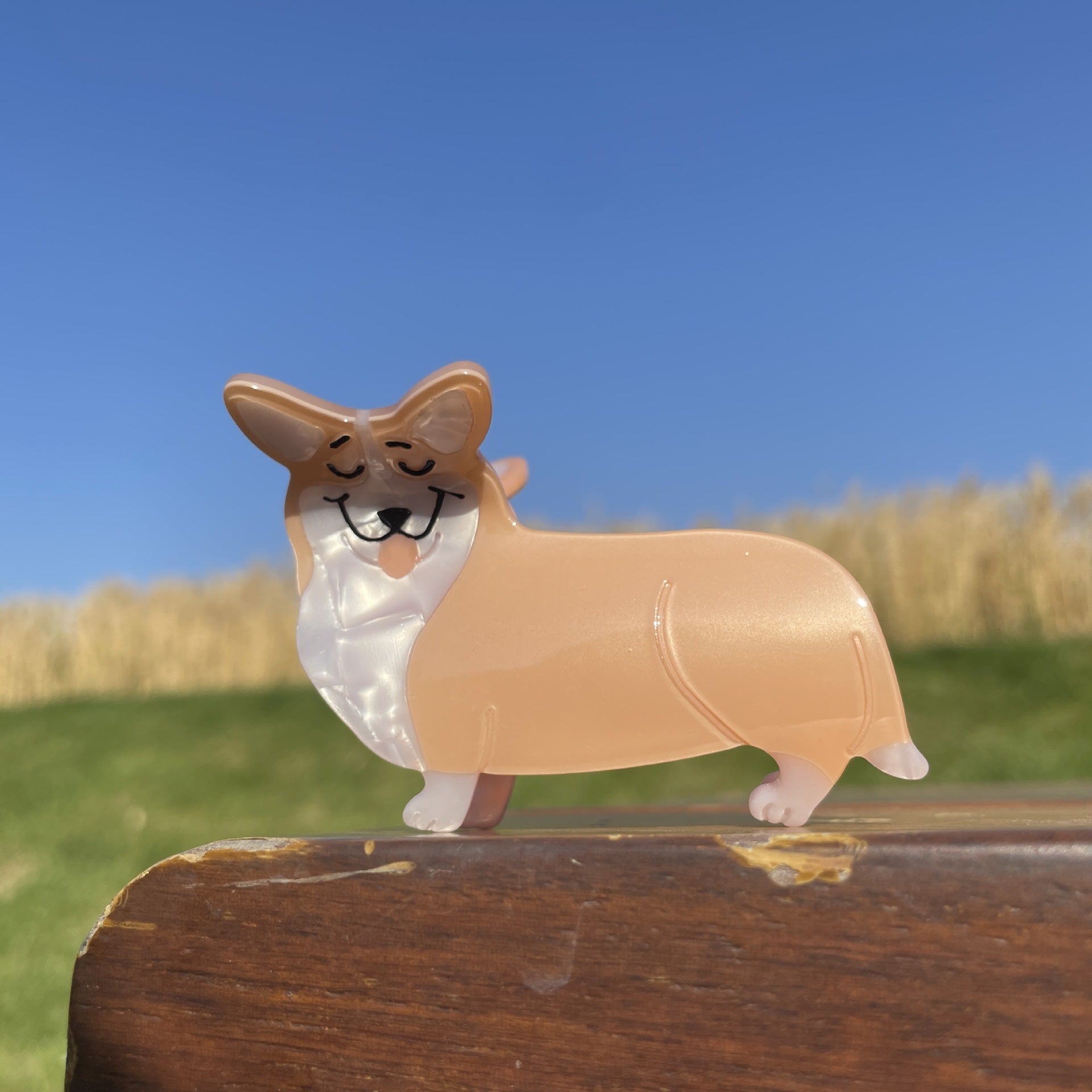Wholesale Cartoon Corgi Acetate Hair Clips