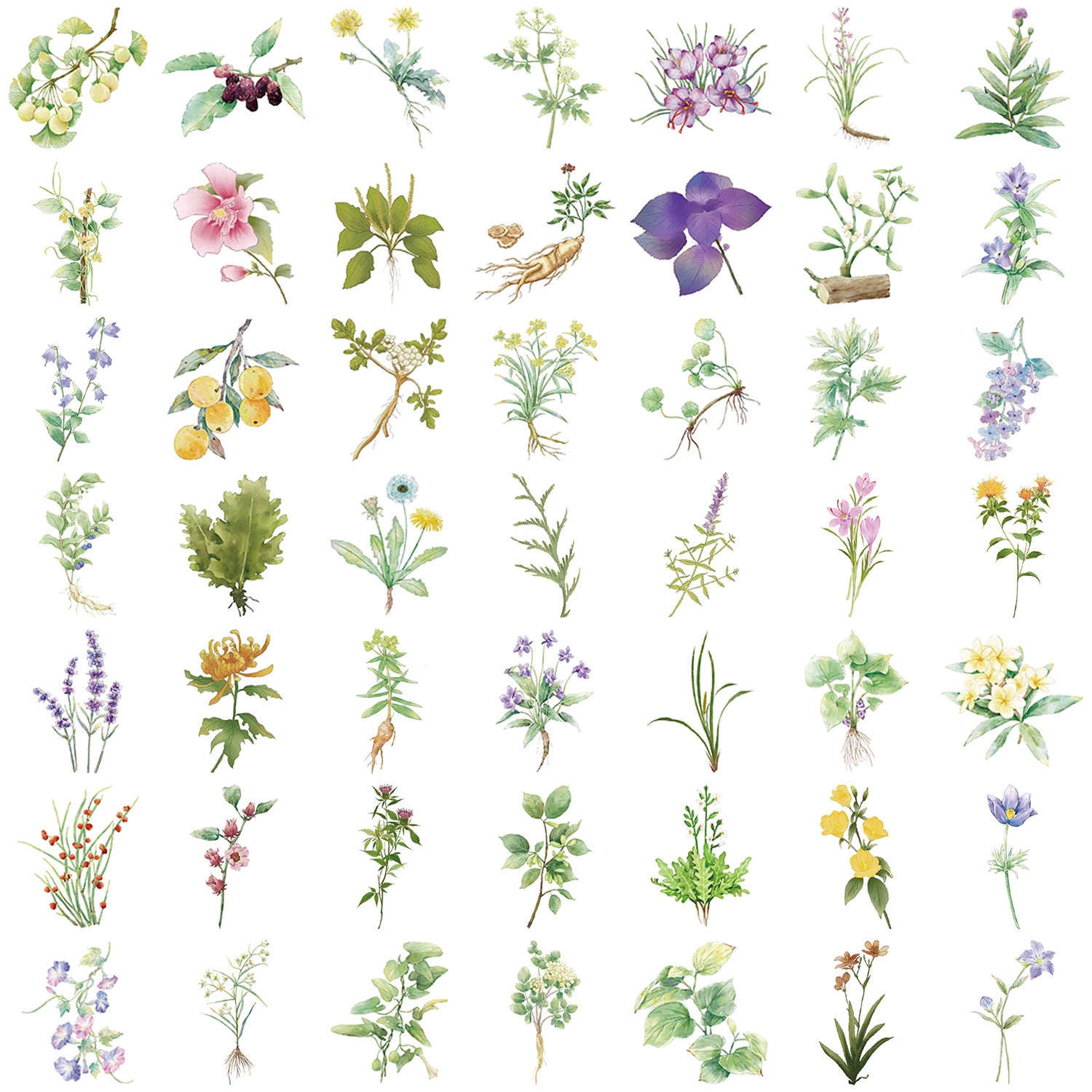 Wholesale 50pcs/pack  Medicine Plant Graffiti Stickers Decorative Guitar Notebook Luggage DIY Waterproof Cross-border