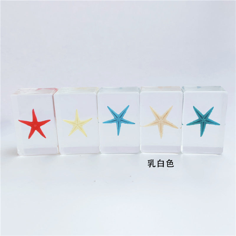 Wholesale 12pcs Epoxy Starfish Specimen Hot Sale Resin Crafts Ornaments