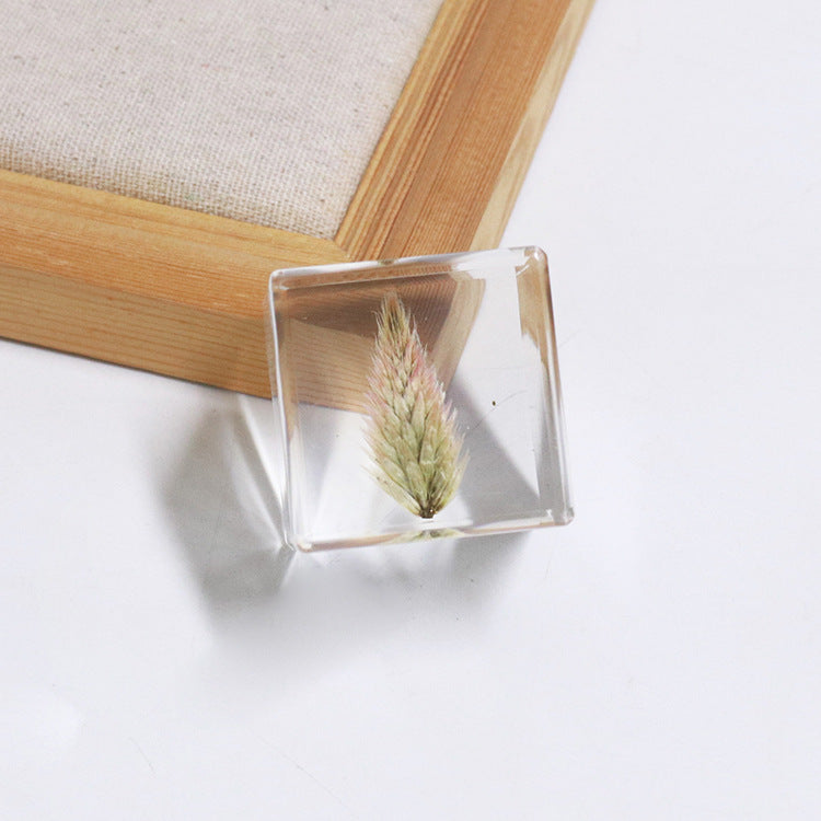 Wholesale 6pcs Cube Real Dried Flower Desktop Crafts Ornaments
