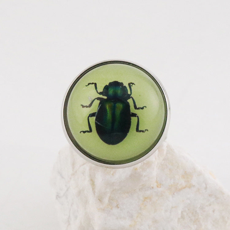 Wholesale 12pcs Luminous Fashion Real Insect Scorpion Resin Rings