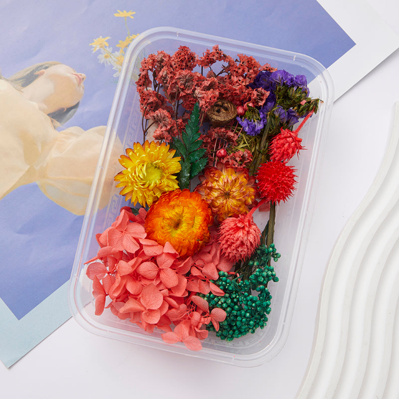 Wholesale DIY Handmade Mixed Dried Flowers Boxed Material Package Real Flowers Natural Air-dried Decorative Ornaments Dripping Glue Flower Material