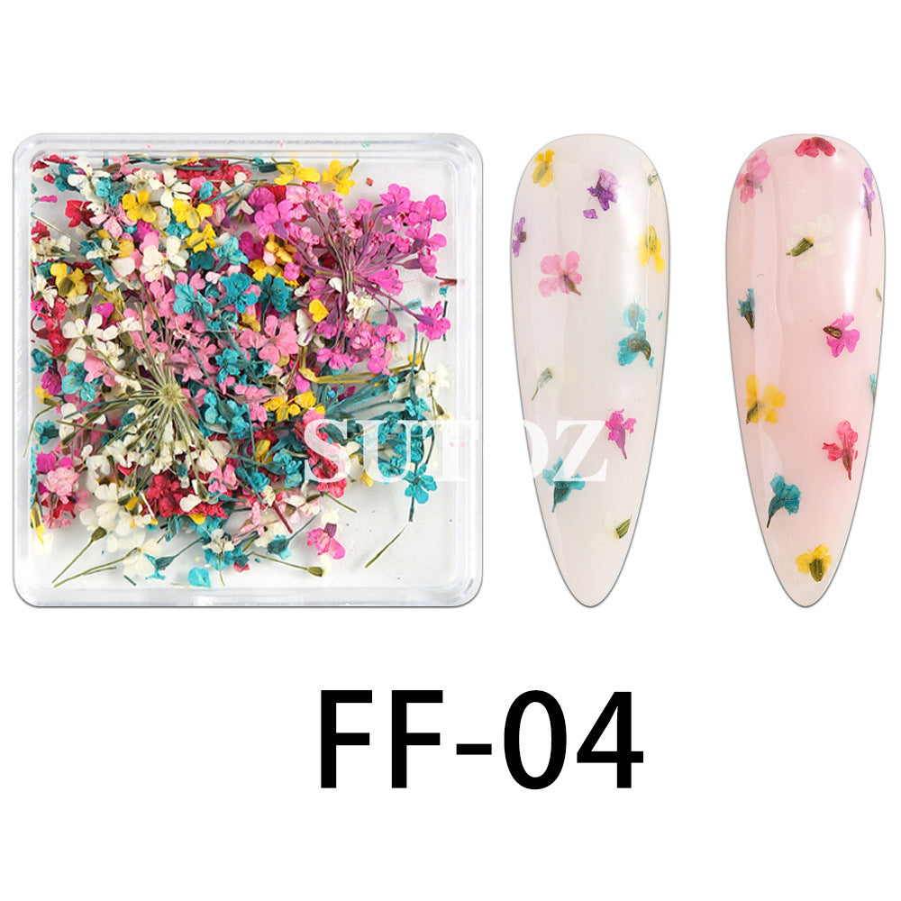 Wholesale 3pcs Nail Art Dried Flower Ornaments