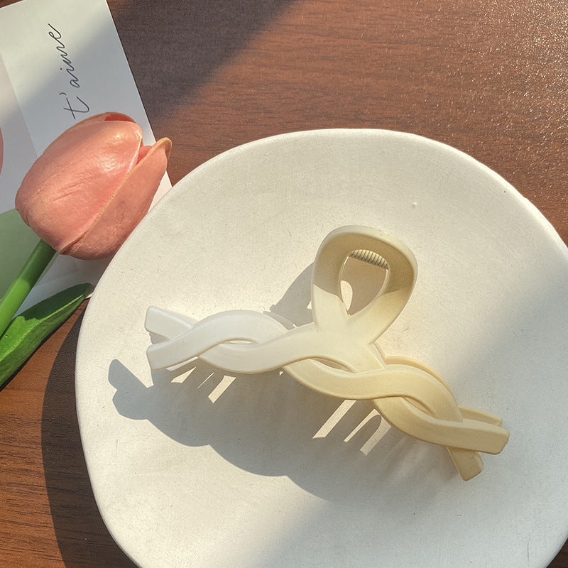 Wholesale Plastic Gradient Twist Frosted Hair Clips