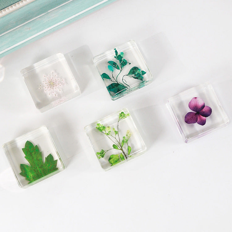 Wholesale 12pcs Resin Dried Flower Specimens Transparent Ornaments