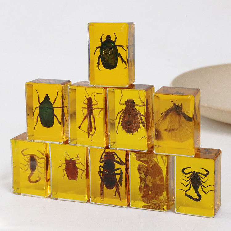 Wholesale 12pcs Real Insect Scorpion Resin HD Transparent Craft Ornaments
