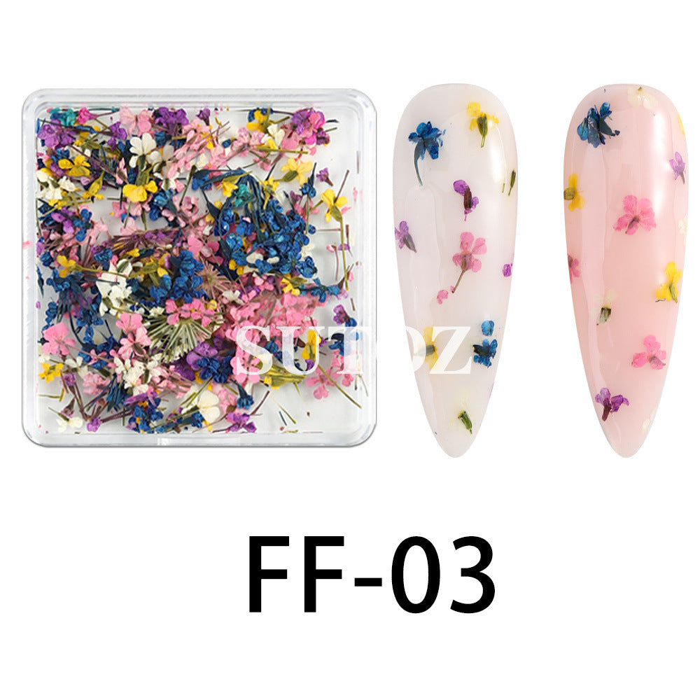 Wholesale 3pcs Nail Art Dried Flower Ornaments