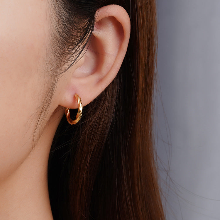 Wholesale Titanium Steel Geometric Women' s Earrings Luxury Style