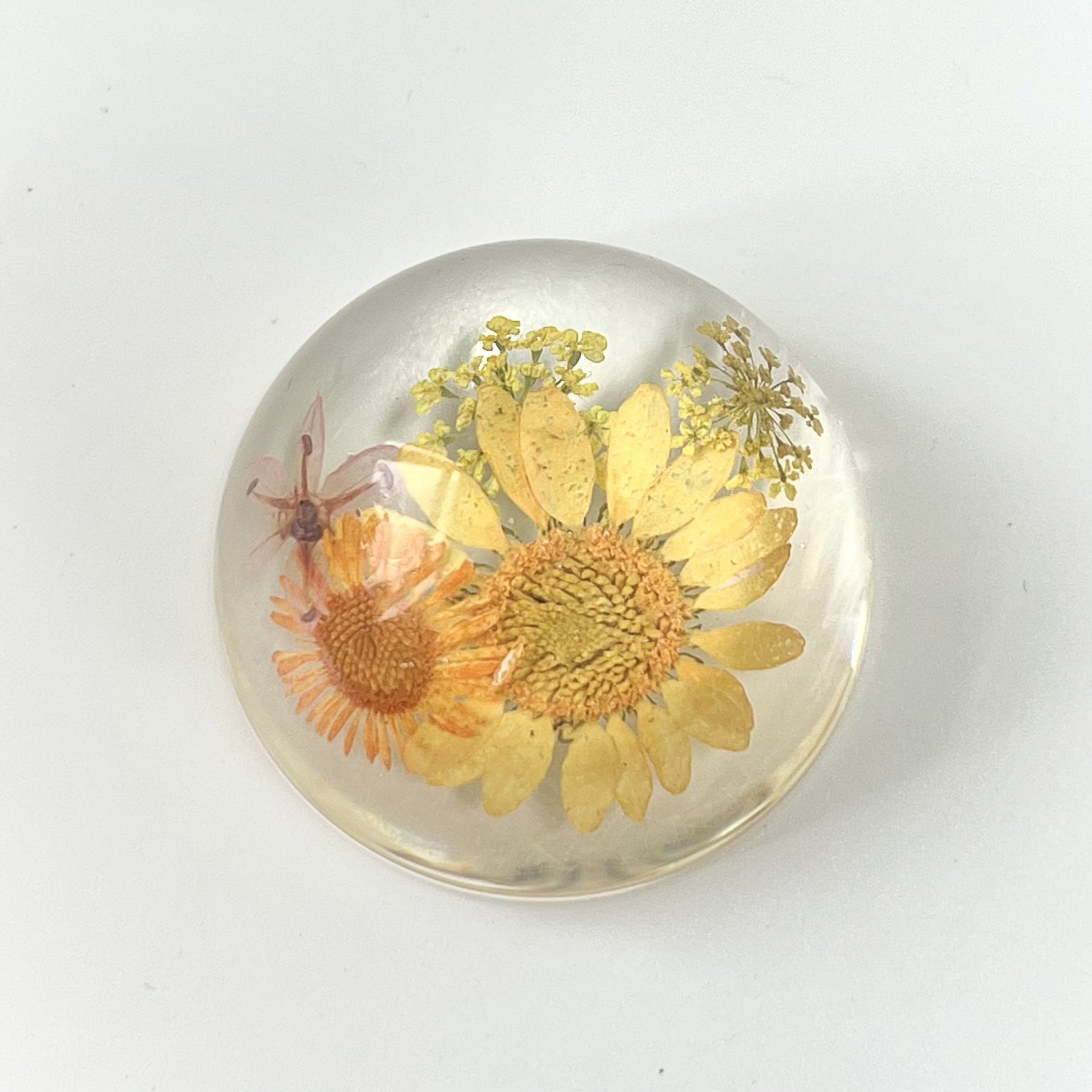 Wholesale 6pcs High Transparent Hemisphere Resin Craft Dried Flower Ornaments