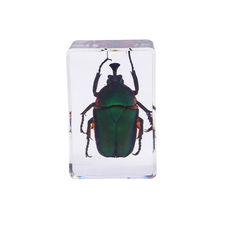 Wholesale Handmade Dripping Resin Insect Transparent Animal Specimen Ornaments