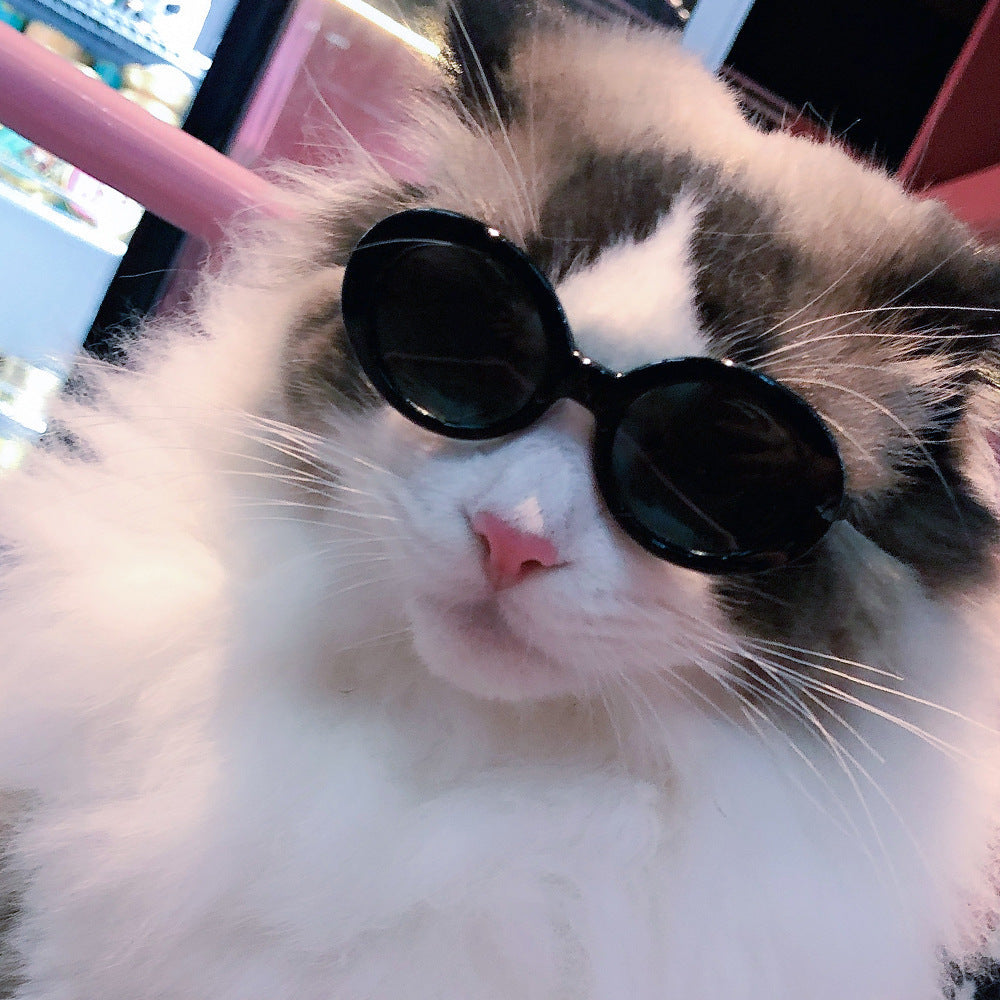 Wholesale Pet PC Sunglasses